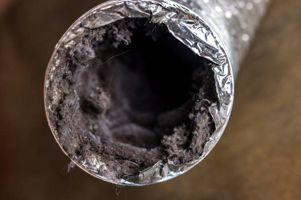 Best Commercial Air Duct Cleaning  in Trinity, NC