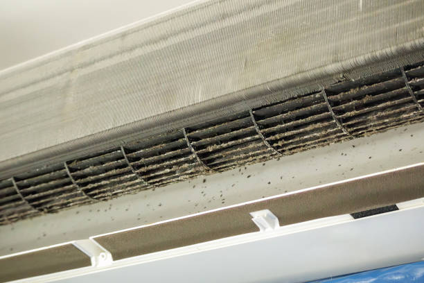 Best Commercial Air Duct Cleaning  in Trinity, NC