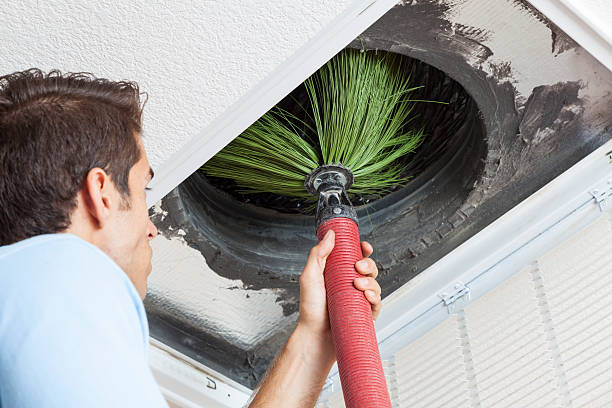 Best Local Air Duct Cleaning Services  in Trinity, NC